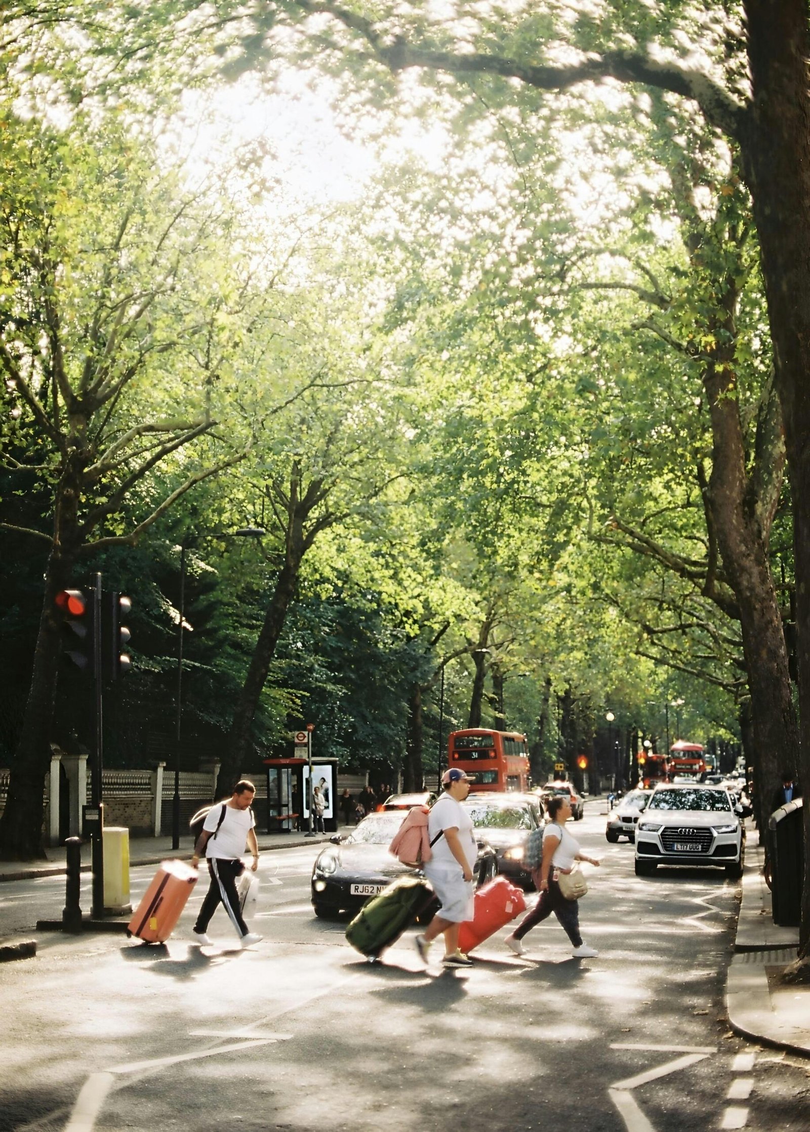 Lively London street scene with people crossing, surrounded by trees and iconic double-decker buses.